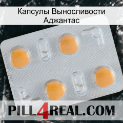 Капсулы Выносливости Аджантас 24